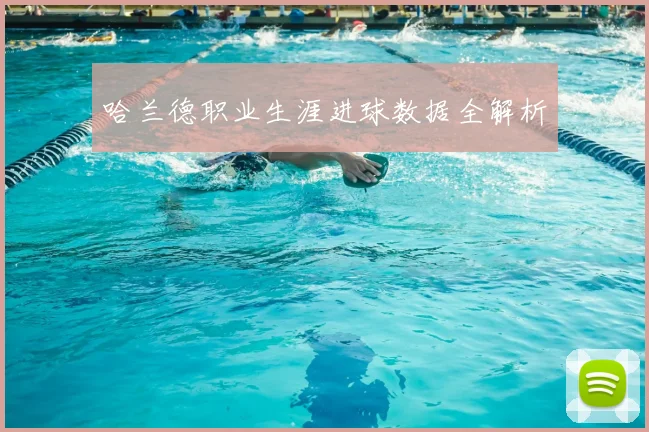 哈兰德职业生涯进球数据全解析
