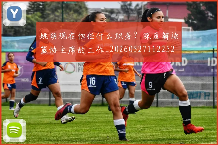 姚明现在担任什么职务?深度解读篮协主席的工作_20260527112252