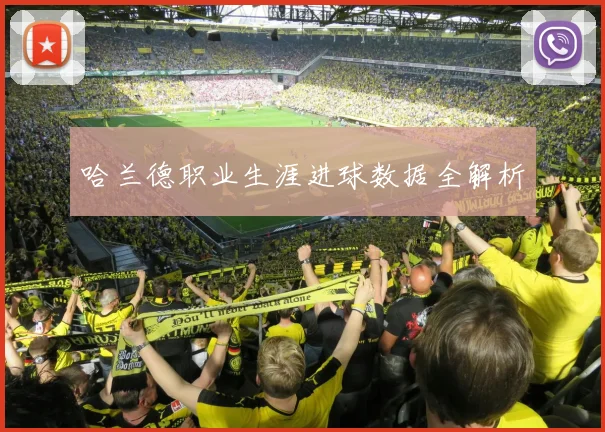 哈兰德职业生涯进球数据全解析