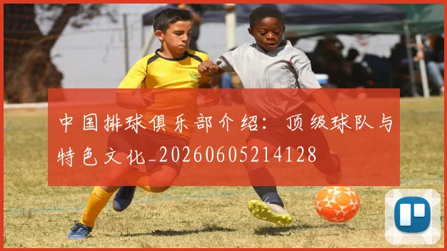 中国排球俱乐部介绍：顶级球队与特色文化_20260605214128