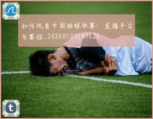 如何观看中国排球联赛:直播平台与赛程_20260523195620