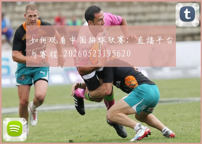 如何观看中国排球联赛：直播平台与赛程_20260523195620